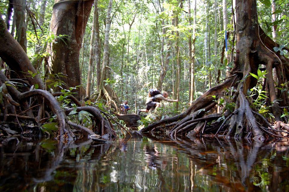Jungle Marathon, Amazon Rainforest